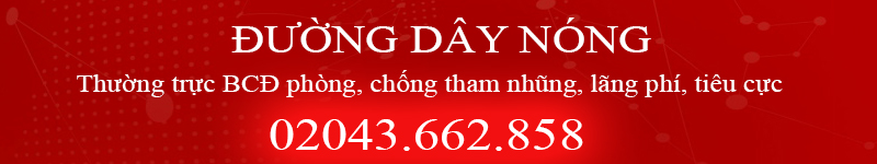 Duong day nong chong lang phi tieu cuc.jpg